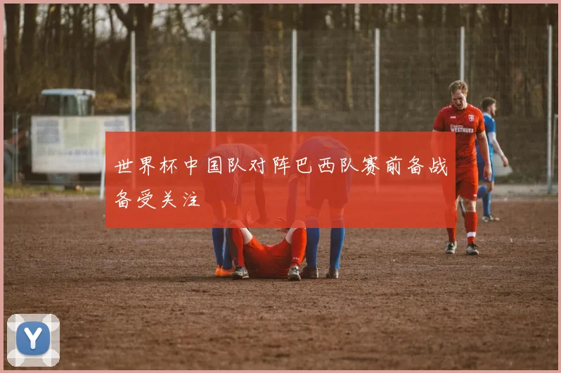 世界杯中国队对阵巴西队赛前备战备受关注