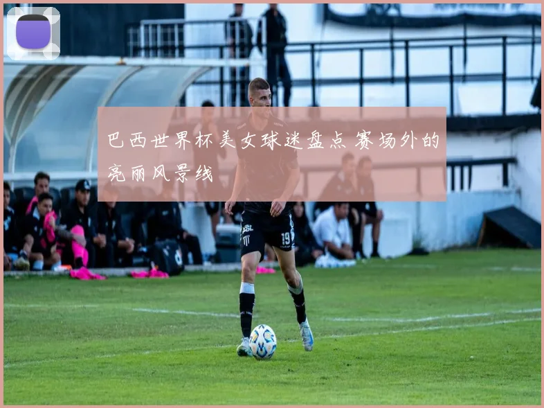 巴西世界杯美女球迷盘点 赛场外的亮丽风景线
