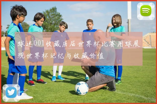 球迷001收藏历届世界杯比赛用球展现世界杯记忆与收藏价值
